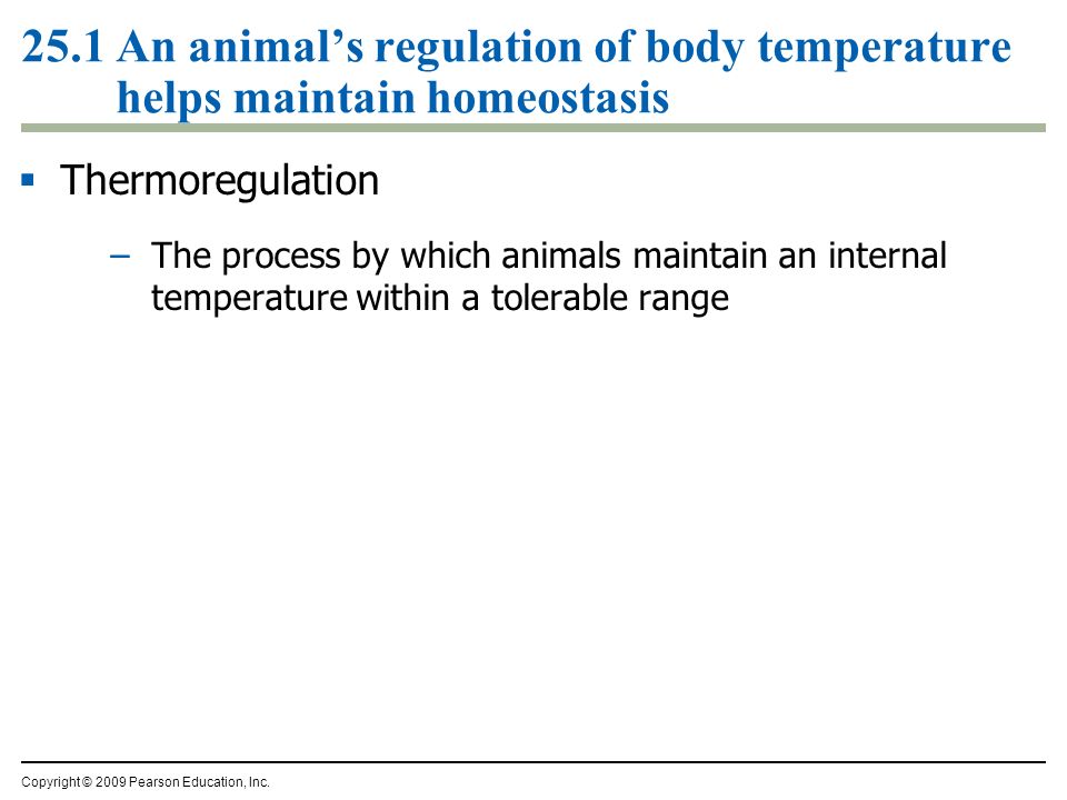 Temperature Regulation of the Human Body